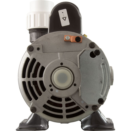 Pump, Circ, Gecko Aqua Flo CMHP, 1/15hp, 230v, 1 - 1/2", OEM, CE : 02093001 - 2010CE - Aquaflo/Gecko -  - All Pool Parts