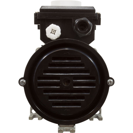 Pump, Bath, LX WCH, 7.0A, 115v, 1.5", w/Air Switch : WCH100 - Lingxiao (LX) Pump -  - All Pool Parts