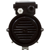 Pump, Bath, LX WCH, 9.0A, 115v, 1.5", w/Air Switch : WCH150 - Lingxiao (LX) Pump -  - All Pool Parts