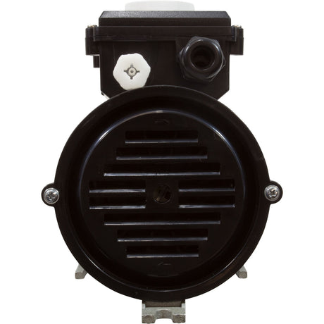 Pump, Bath, LX WCH, 9.0A, 115v, 1.5", w/Air Switch : WCH150 - Lingxiao (LX) Pump -  - All Pool Parts