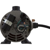 Pump, Bath, Speck E45, 1.5hp, 115v, 1 - 1/2", 3ft Cord, AS, OEM : JT182 - 1150T - 0ST - Speck Pumps -  - All Pool Parts