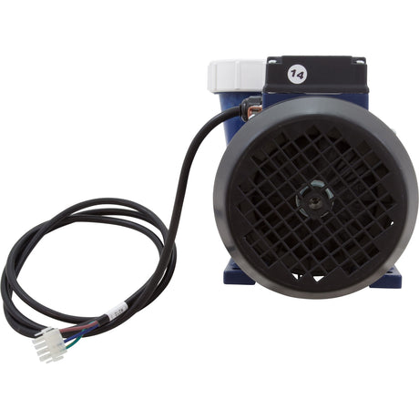 Pump, Aqua Flo XP2e, 2.0hp, 230v, 1 - Spd, 50HZ ONLY, OEM : 07030003 - 6040 - Aquaflo/Gecko -  - All Pool Parts