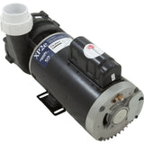 Pump, Gecko XP2E, 4.0hp, 230v, 2 - Spd, 56fr, 2.5" Intake, 2"Dis, OEM : 05334024 - 5040 - Gecko Alliance -  - All Pool Parts