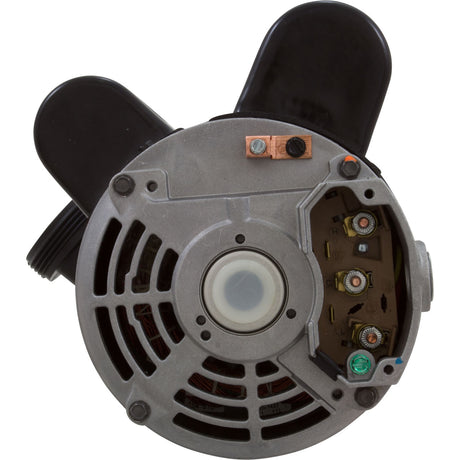 Pump, BWG, 2 - Spd, 2.5hp, 230v, 60Hz, OEM : 6500 - 343 - Balboa Water Group -  - All Pool Parts