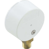 Vacuum Gauge, Vac Alert, VA - 2000, 0 - 30inHg : VA - 2860 - Vac - Alert of California -  - All Pool Parts