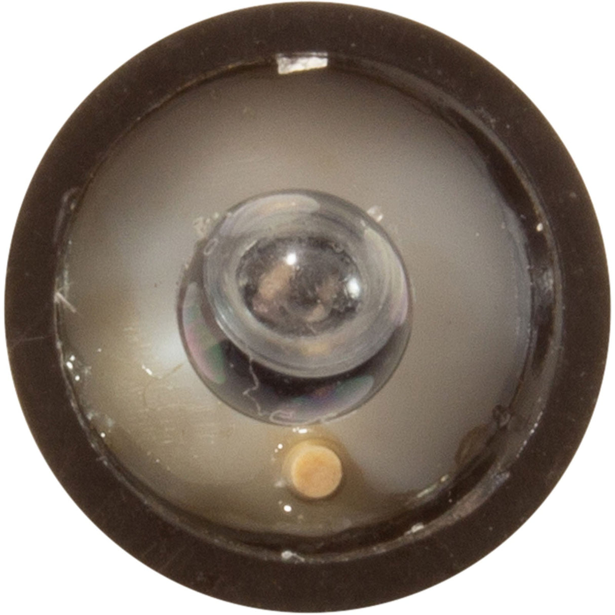 PH Probe, Solaxx, SafeDip replacement probe : MET20A - 040 - Solaxx -  - All Pool Parts