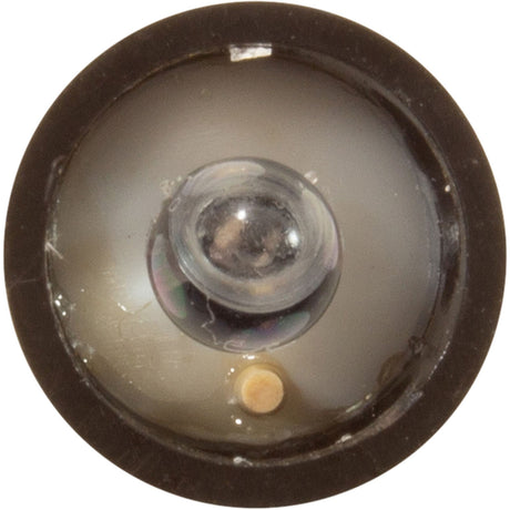 PH Probe, Solaxx, SafeDip replacement probe : MET20A - 040 - Solaxx -  - All Pool Parts