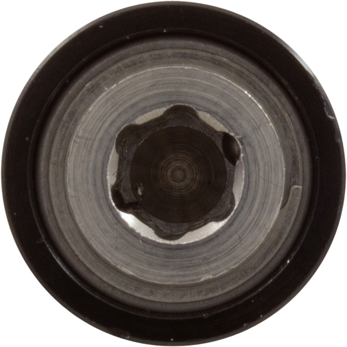 Head Attachment, Nemo Power Tools, 1/4" Hex : RK20011 - Nemo Power Tools -  - All Pool Parts