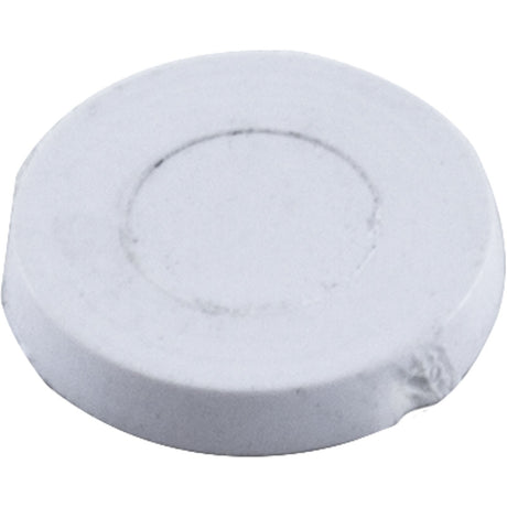 Screw Hole Plug, Pentair Rainbow DSF/Safety Skimmer, White : R172605 - Rainbow/Pentair - 788379702458 - All Pool Parts