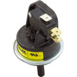Water Pressure Switch Kit, Lochinvar EnergyRite Heater : 100166256 - Lochinvar -  - All Pool Parts