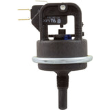 Water Pressure Switch Kit, Lochinvar EnergyRite Heater : 100166256 - Lochinvar -  - All Pool Parts