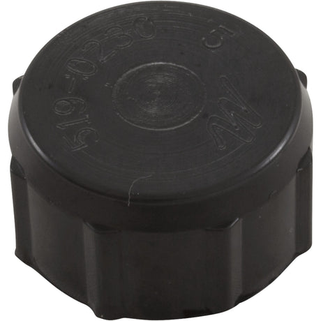 Drain Cap, Waterway Filter On/Off Valve, 1/2"fght, Black : 519 - 0231 - Waterway Plastics - 806105245588 - All Pool Parts