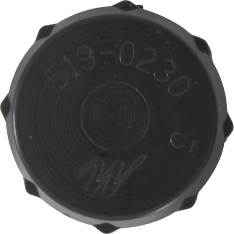 Drain Cap, Waterway Filter On/Off Valve, 1/2"fght, Black : 519 - 0231 - Waterway Plastics - 806105245588 - All Pool Parts