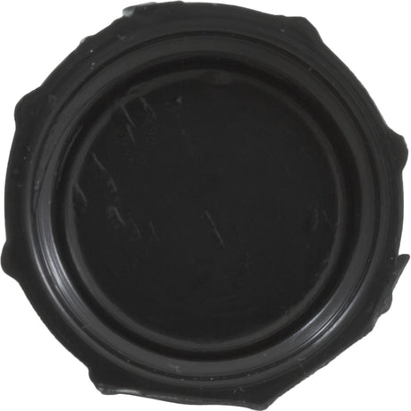 Drain Cap, Waterway Filter On/Off Valve, 1/2"fght, Black : 519 - 0231 - Waterway Plastics - 806105245588 - All Pool Parts