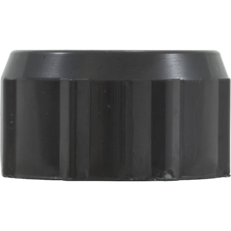 Drain Cap, Waterway Filter On/Off Valve, 1/2"fght, Black : 519 - 0231 - Waterway Plastics - 806105245588 - All Pool Parts