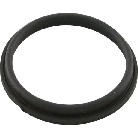 Valve Seal, Valterra 1002 - 7N, 2", Santoprene : 1002 - 7N - Valterra Products - 019079100276 - All Pool Parts