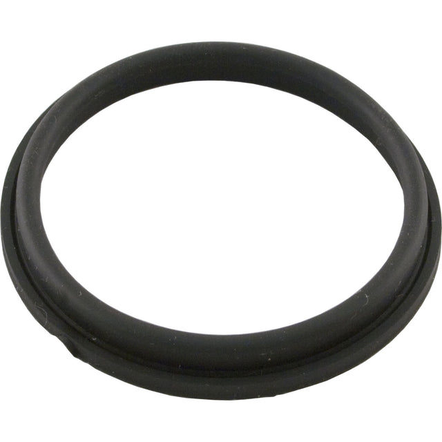 Valve Seal, Valterra 1002 - 7N, 2", Santoprene : 1002 - 7N - Valterra Products - 019079100276 - All Pool Parts