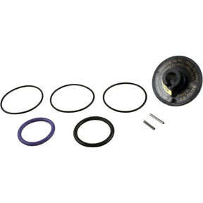Rebuild Kit, Zodiac Jandy Slide Valve : R0442100 - Jandy/Laars/Zodiac - 052337021388 - All Pool Parts