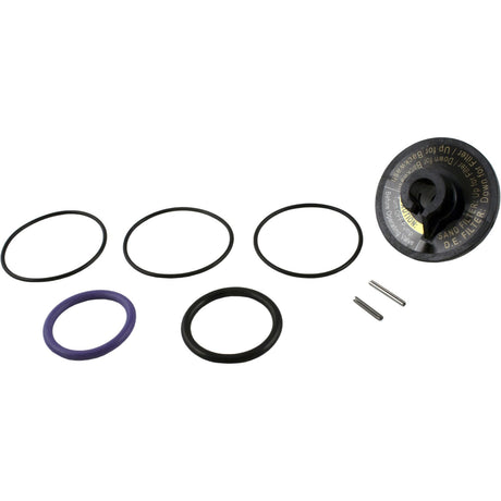 Rebuild Kit, Zodiac Jandy Slide Valve : R0442100 - Jandy/Laars/Zodiac - 052337021388 - All Pool Parts