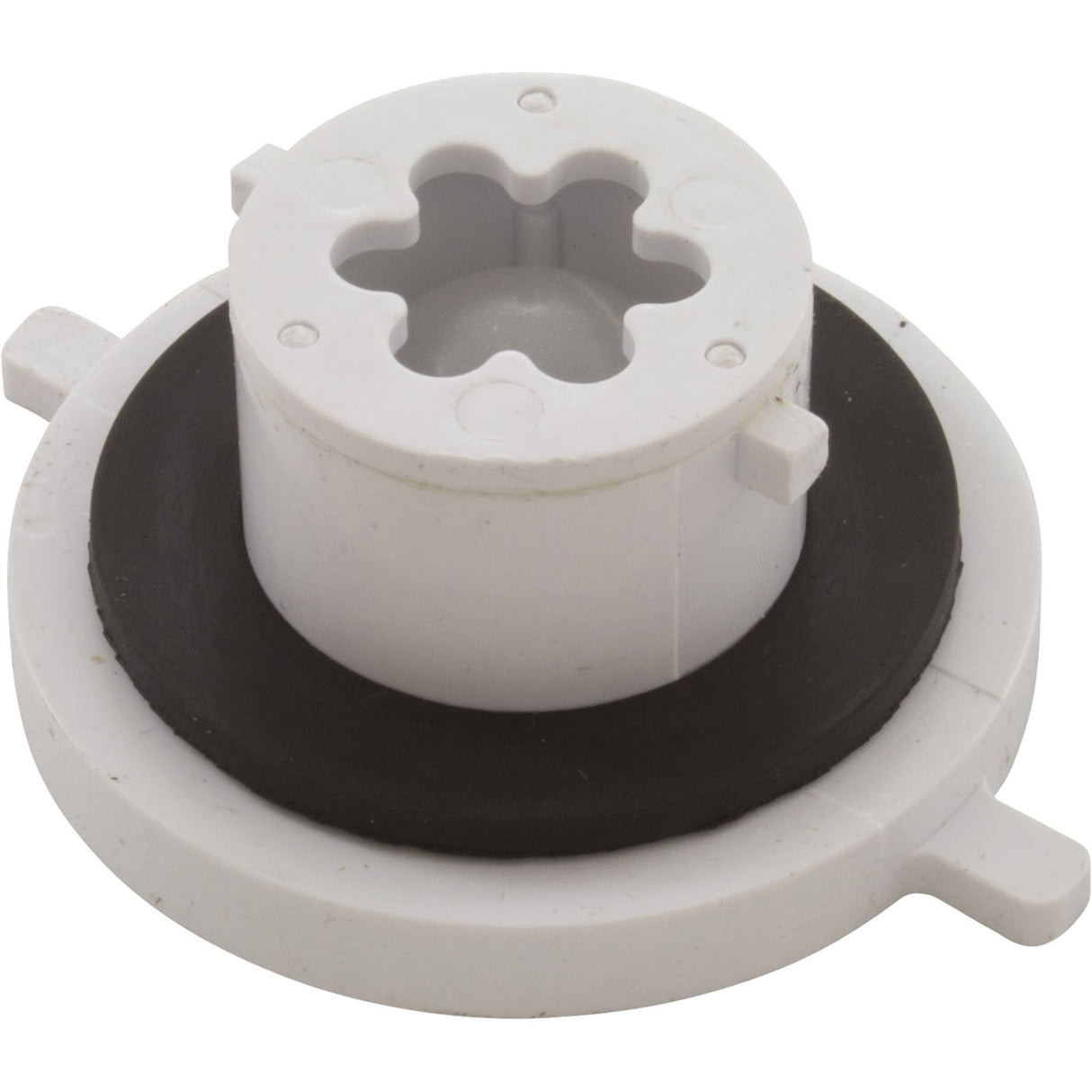 Check Valve Assembly, CMP PowerClean Mini Chlorinator : 25280-000-920