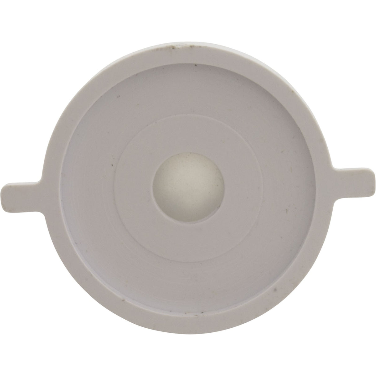 Check Valve Assembly, CMP PowerClean Mini Chlorinator : 25280-000-920