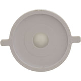 Check Valve Assembly, CMP PowerClean Mini Chlorinator : 25280-000-920