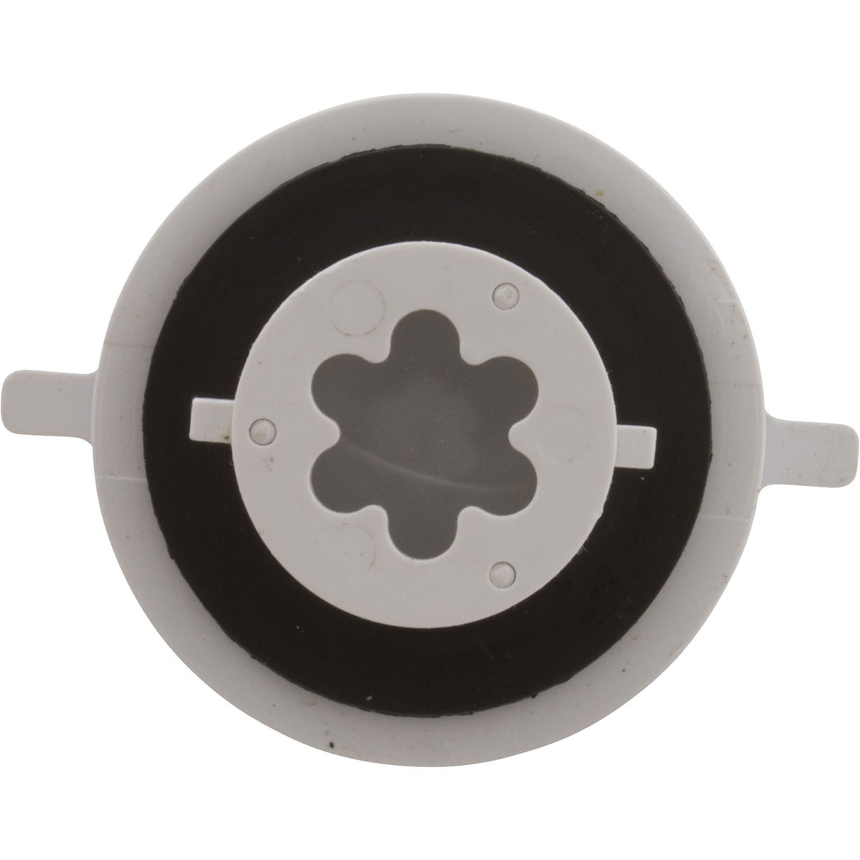 Check Valve Assembly, CMP PowerClean Mini Chlorinator : 25280-000-920