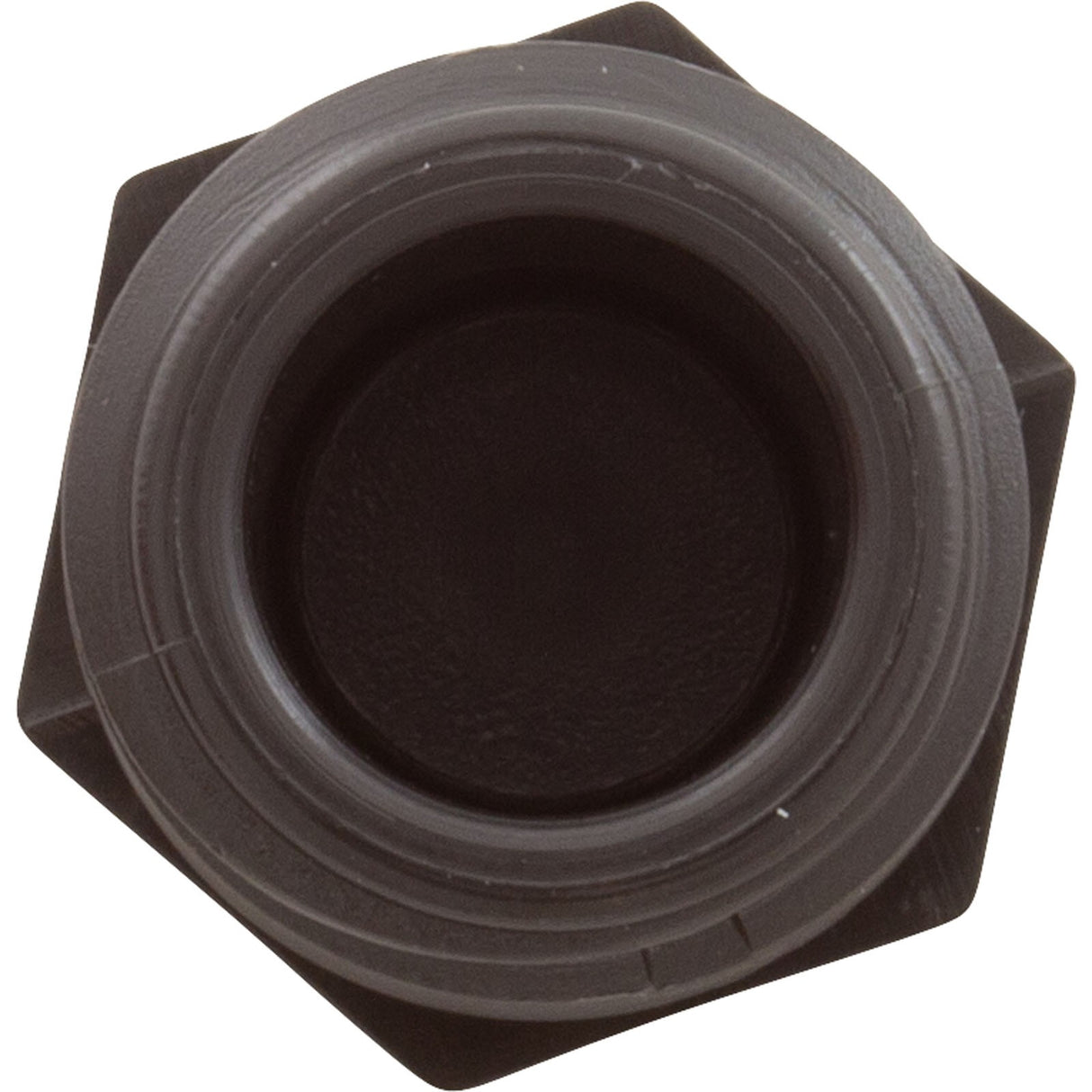 Plug, Aquastar ChemStar CH100, 1/2"mpt, PVC : CH1015