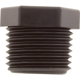 Plug, Aquastar ChemStar CH100, 1/2"mpt, PVC : CH1015