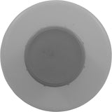 Spa Disinfector Bottom Load Gray : 27052-039-000