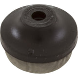 Air Relief Strainer, Pentair PacFab ST : 191329