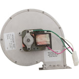 Blower, Raypak R185A/R185B : 008080F