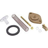 Bypass Assembly, Zodiac Jandy LXi, with Hardware, Bronze : R0476806