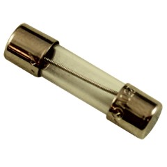 Fuse, Slow Blow, Balboa Water Group, 160MA, 250VAC, 5MM x 20MM : 26982