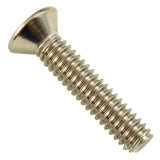 Light Niche Screw, Pentair, Amerlite, 1/4-20 x 1.25" : 98202700Z