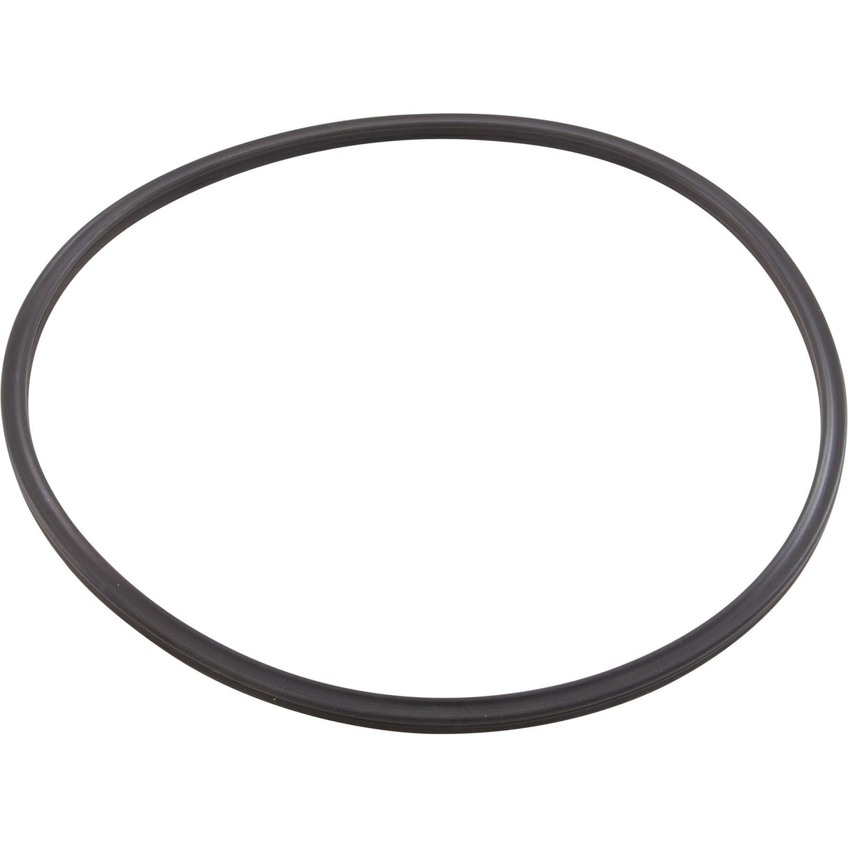 Quad Ring, Pentair Tagelus/Triton II, 6-5/16"ID, Valve Adapter : 152516Z