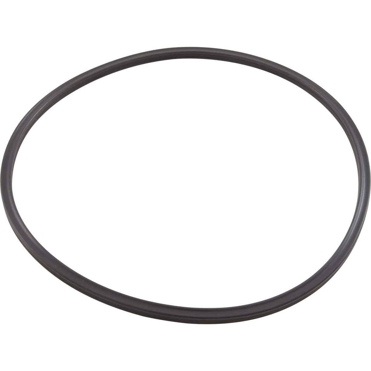 Quad Ring, Pentair Tagelus/Triton II, 6-5/16"ID, Valve Adapter : 152516Z