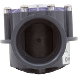 2.0" X 2.5" Pvc Check Valve : PSCV2S2DGR