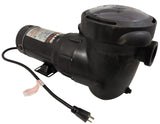 Pump, Hayward PowerFlo, 1.5hp, 2-Spd, 115V, 3' Cord : W3SP15932S