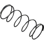 Spring, Pent Ortega Equalizer/Sch 40/Return Line Check Valves : 072474 - Ortega/Pentair - 788379712280 - All Pool Parts