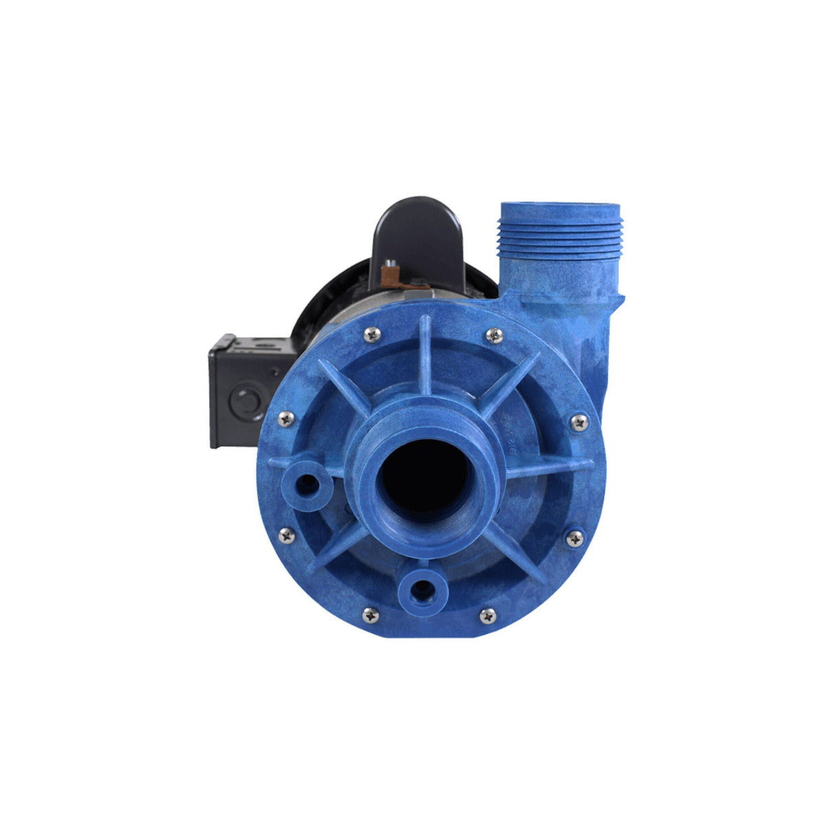 Circulating Pump, AquaFlo, 50HZ, 1/15HP, 230V w/Air Switch & Amp Plug, Unions : 02420014-2010