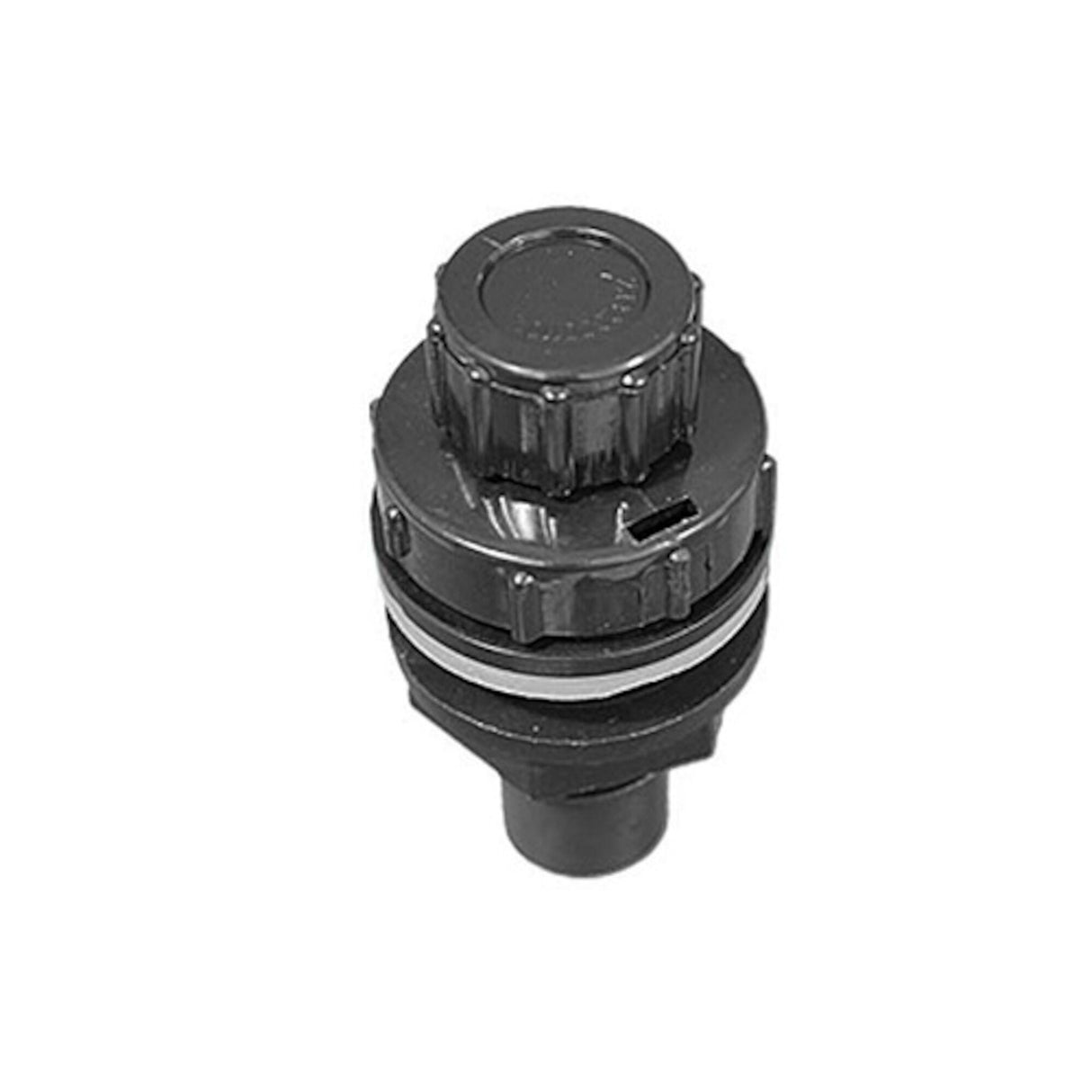 Drain Assembly, Valve, CMP Economy, 1/2"S w/ 3/4"RB Adapter & Cap : 25212-004-000