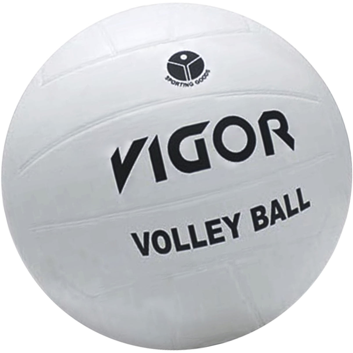Volleyball, SR Smith Swim N Spike, w/ 20ft Net & Needle : VBK-105