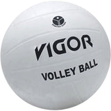 Volleyball, SR Smith Swim N Spike, w/ 20ft Net & Needle : VBK-105