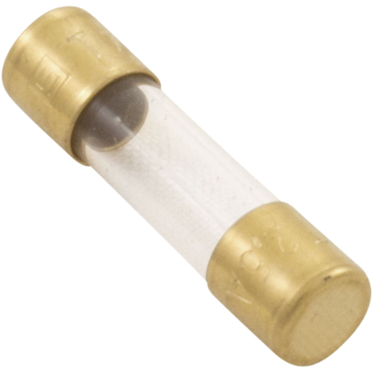 Fuse, Maytronics Dolphin, Slow Blow, 2.5A : 1930251