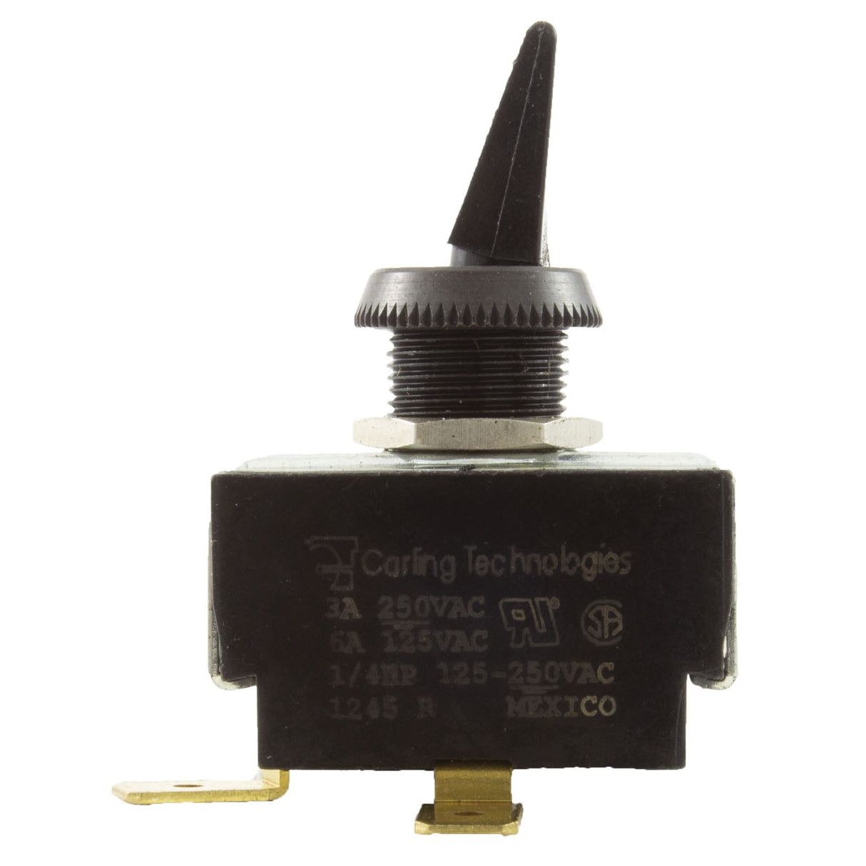 Toggle Switch, Raypak, SPST, 3Amp/6Amp : 100-10000441