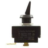 Toggle Switch, Raypak, SPST, 3Amp/6Amp : 100-10000441