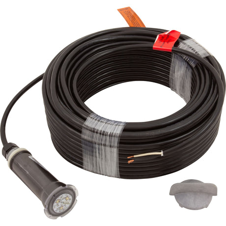 Pool/Spa Light, Pentair GloBrite, Color, 12v, 15W, 150ft Cord : 602056 - Pentair -  - All Pool Parts