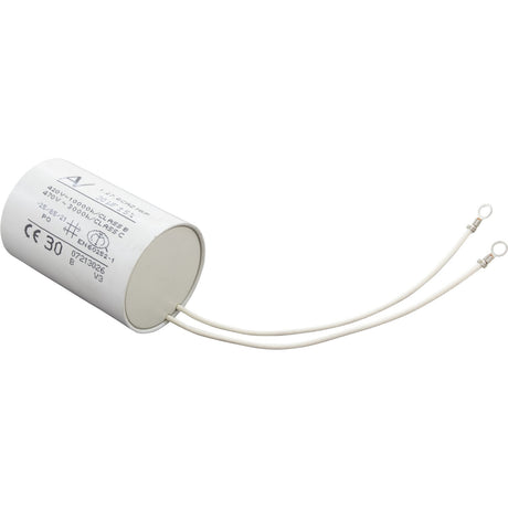 Capacitor For Emg 2/1 Motor (30Uf) : 319 - 0052 - Waterway Plastics -  - All Pool Parts