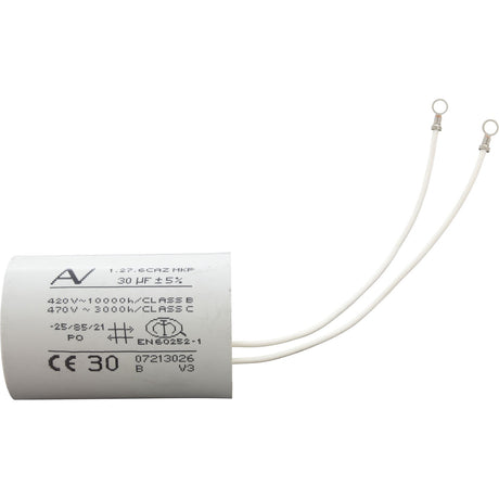 Capacitor For Emg 2/1 Motor (30Uf) : 319 - 0052 - Waterway Plastics -  - All Pool Parts